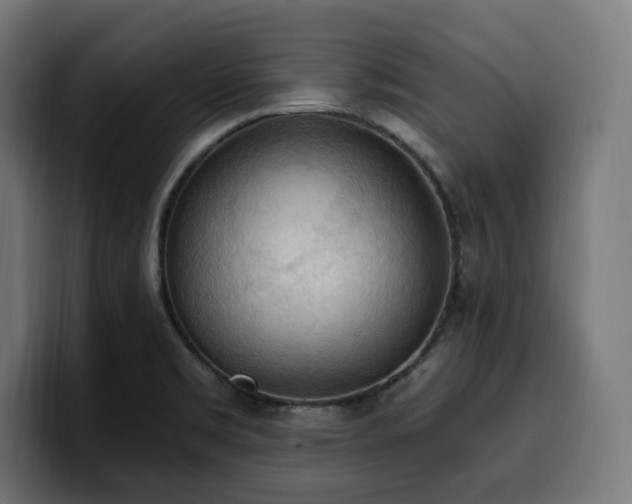 X0000100501469200806131426