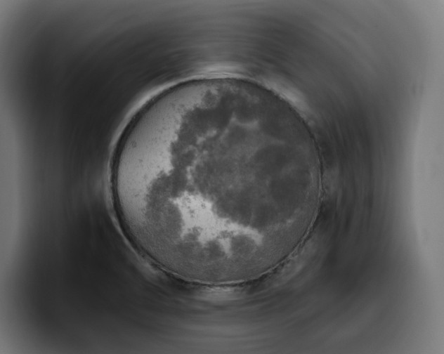 X0000100501470200806131426