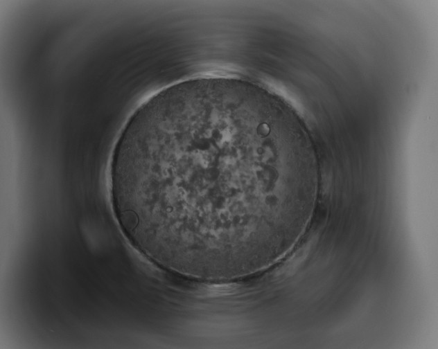 X0000100501471200806131426