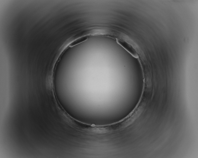 X0000100501473200806131426