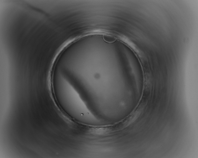 X0000100501474200806131426