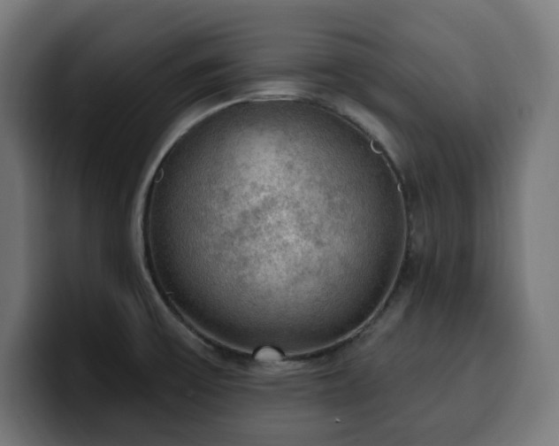 X0000100501475200806131426