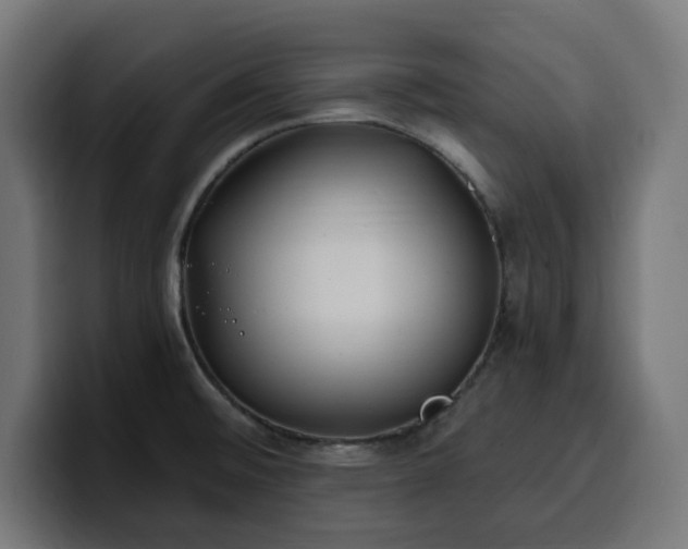 X0000100501476200806131426