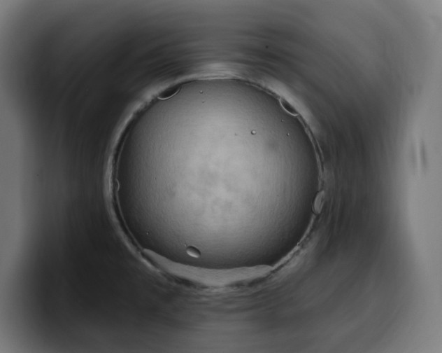 X0000100501477200806131426