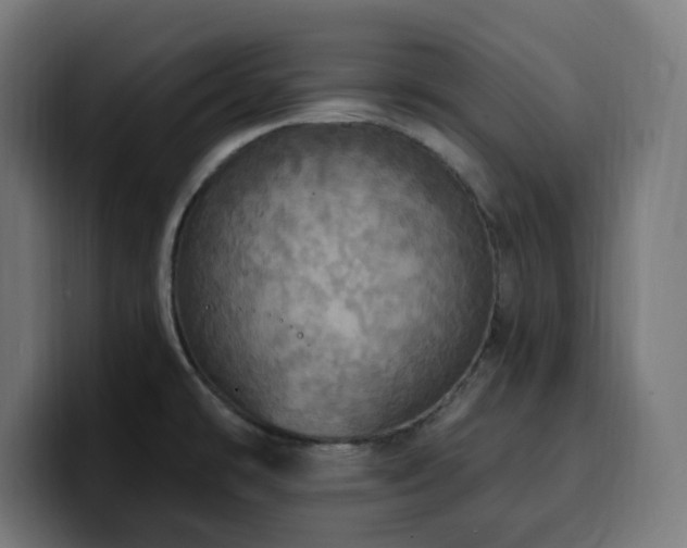 X0000100501478200806131426