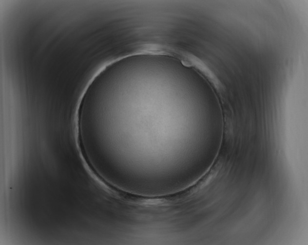 X0000100501479200806131426