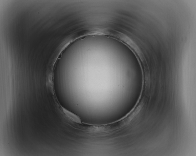 X0000100501481200806131426