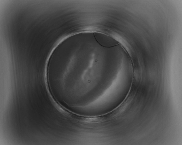 X0000100501482200806131426