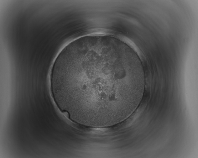 X0000100501483200806131426