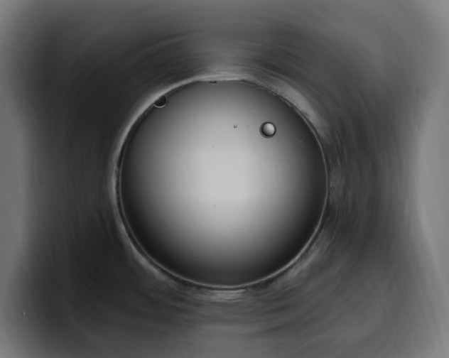 X0000100501484200806131426