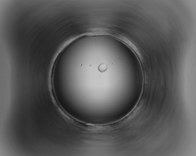 X0000100501485200806131426