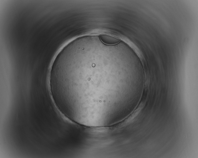 X0000100501486200806131426