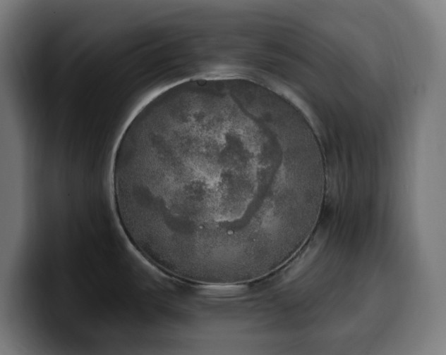 X0000100501487200806131426