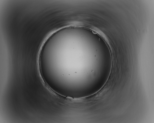 X0000100501488200806131426