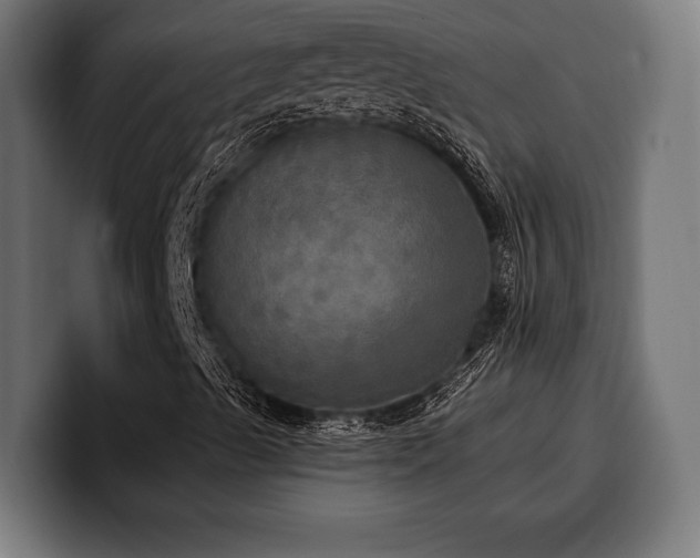 X0000100501489200806131426