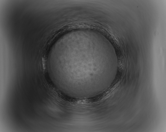 X0000100501490200806131426