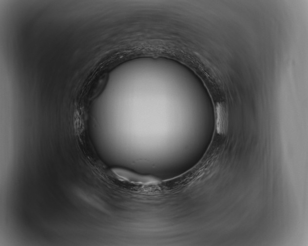 X0000100501491200806131426