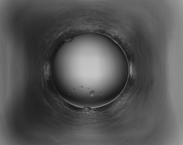 X0000100501492200806131426