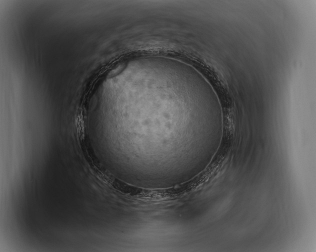 X0000100501493200806131426