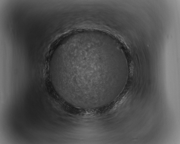 X0000100501494200806131426