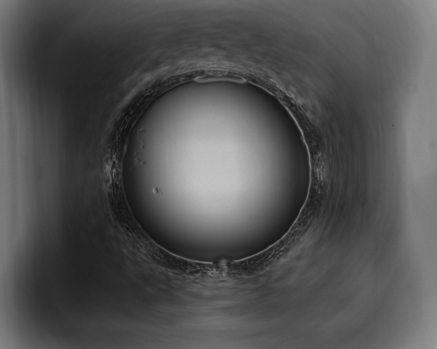 X0000100501495200806131426