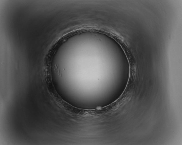 X0000100501496200806131426