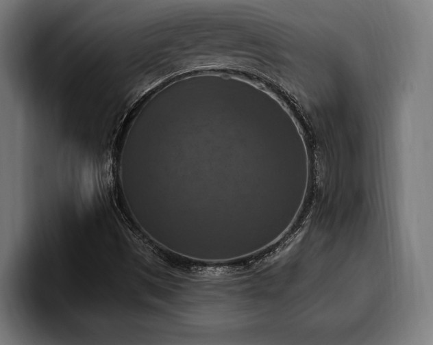 X0000100501497200806131426