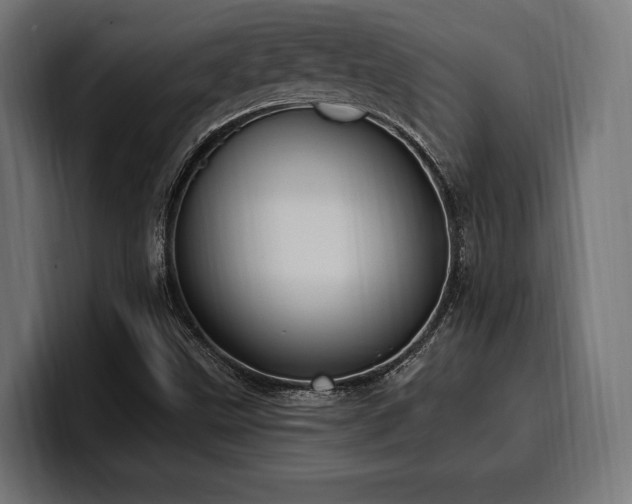 X0000100501499200806131426