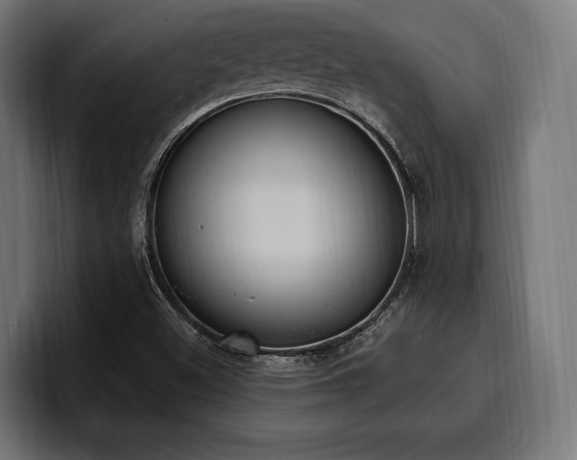 X0000100501500200806131426