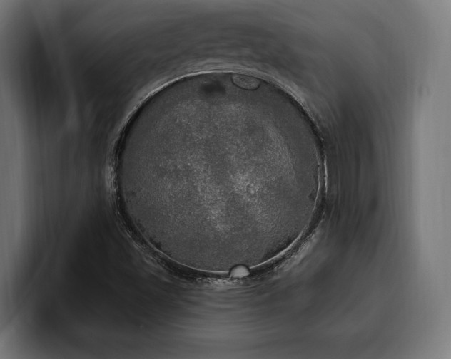 X0000100501501200806131426