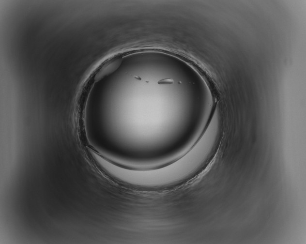 X0000100501502200806131426