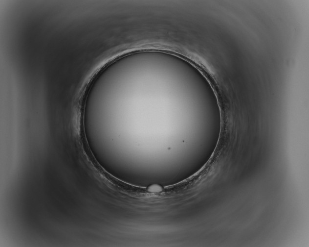 X0000100501504200806131426