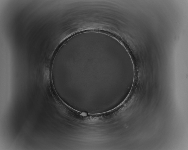 X0000100501505200806131426