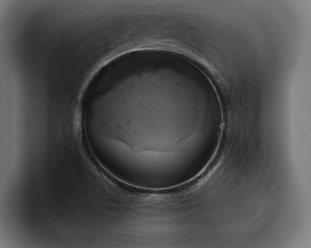 X0000100501506200806131426