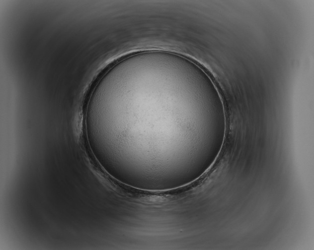 X0000100501507200806131426