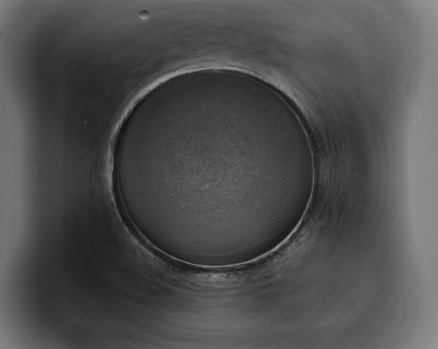 X0000100501508200806131426