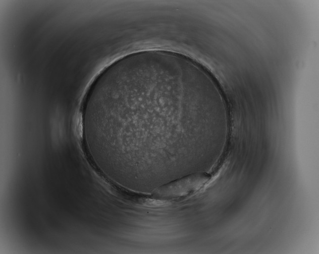 X0000100501509200806131426