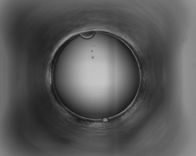 X0000100501510200806131426