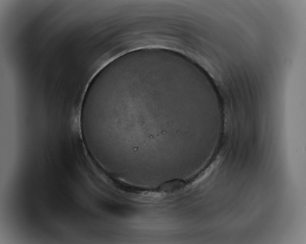 X0000100501513200806131426