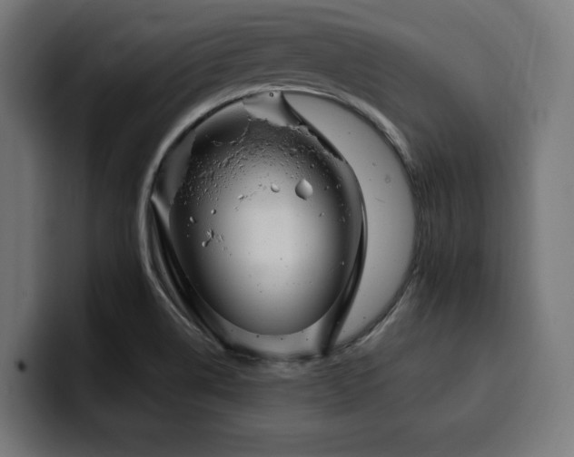 X0000100501514200806131426