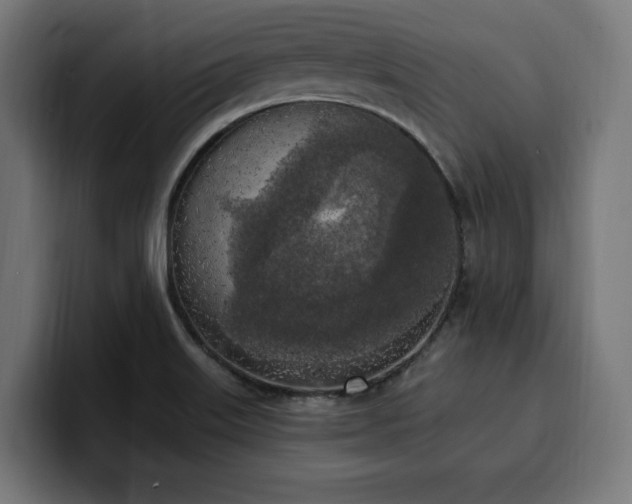 X0000100501515200806131426