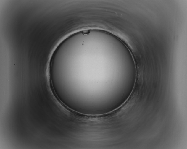 X0000100501516200806131426