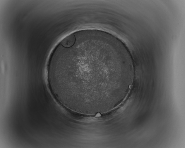 X0000100501517200806131426