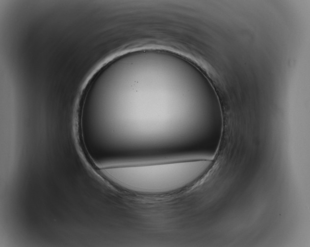 X0000100501518200806131426