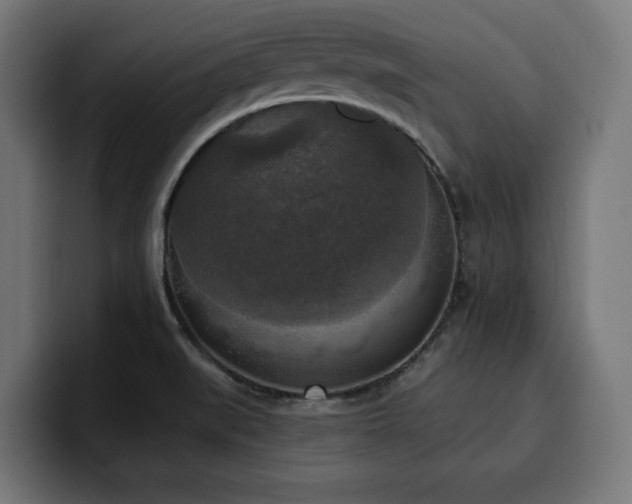 X0000100501519200806131426