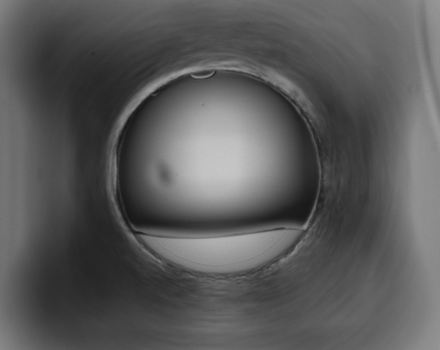 X0000100501520200806131426