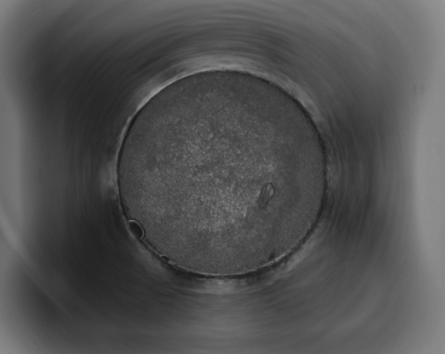 X0000100501521200806131426