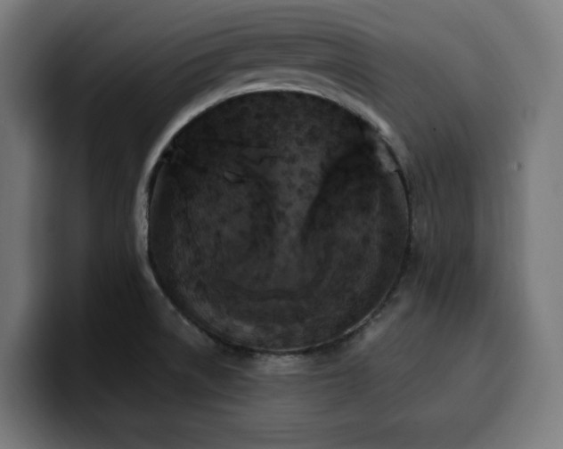 X0000100501522200806131426