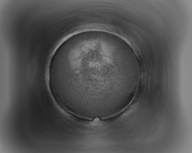 X0000100501523200806131426