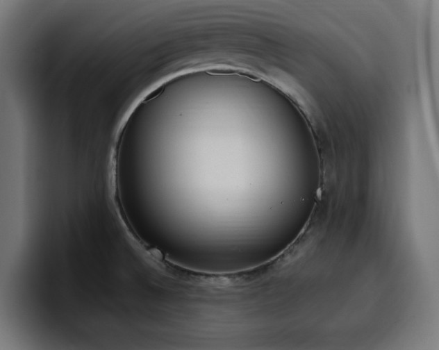 X0000100501524200806131426